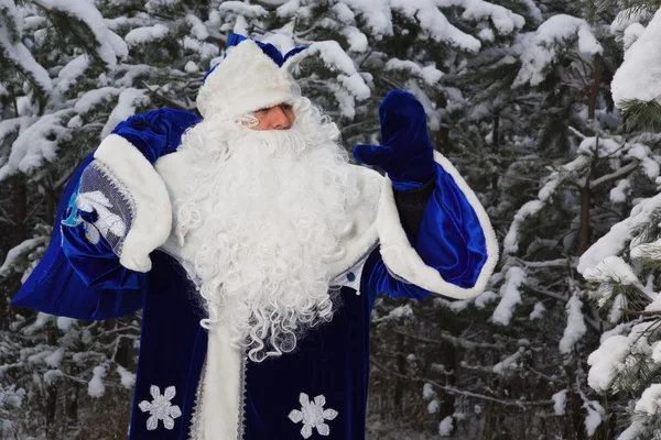 Ded Moroz (Father Frost) con sacchetto di regali nella foresta invernale — Foto Stock