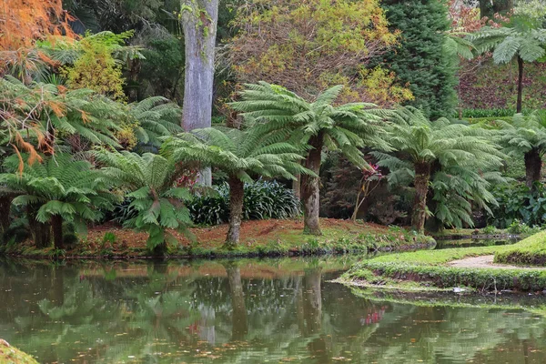 Avuç içi ve havuzlu Park 
