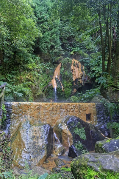 Piscina termal Caldeira Velha, isla de Sao Miguel en las Azores —  Fotos de Stock