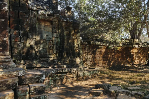 Banyan δέντρα πάνω σε ερείπια με ta prohm ναός — Φωτογραφία Αρχείου