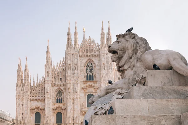Lejonet statyn i milano — Stockfoto