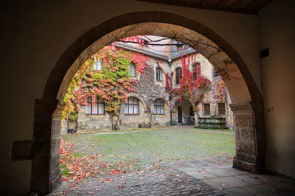 Innenhof mit bunten Reben und Herbstblättern — Stockfoto