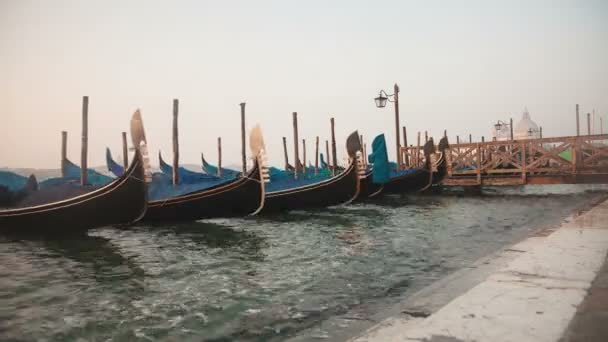 Venezianische gondeln in der nähe der pier auf dem platz von san marco, venedig, italien — Stockvideo