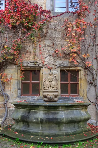 Стена дома, фонтан с цветными виноградными лозами и осенними листьями — стоковое фото