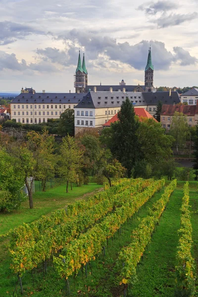 Weinberg und Kathedrale in Bamberg — Stockfoto