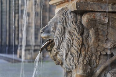 Aslan heykeli ve Köln Katedrali yakınındaki Meydanı Çeşmesi