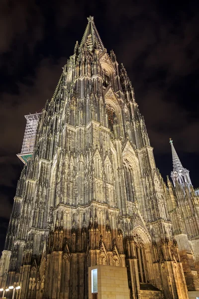 Catedral de Colônia com iluminação à noite — Fotografia de Stock