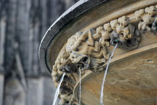 Ugly demon statue with streaming water from mouth near Cologne c — Stock Photo, Image