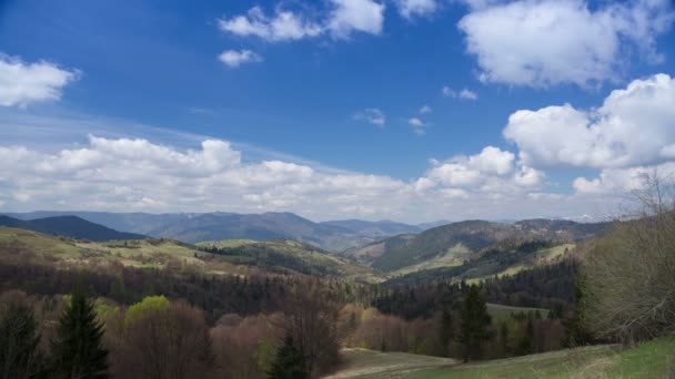 В Карпатах облачно с прояснениями, Украина, временная метель — стоковое видео