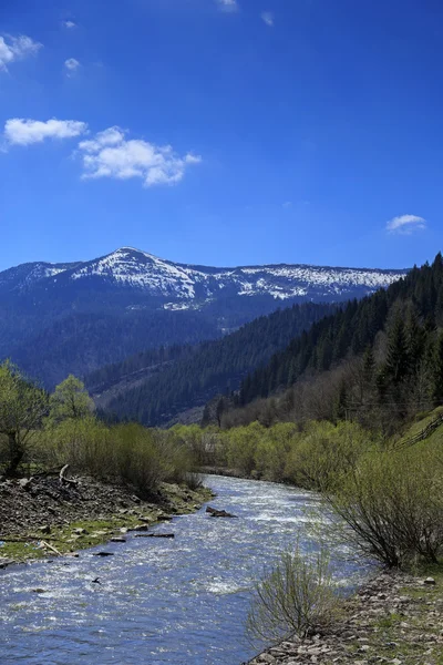 Valle di montagna con fiume nei Carpazi — Foto Stock