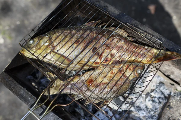 Due carpe alla griglia sul camino bbq — Foto Stock