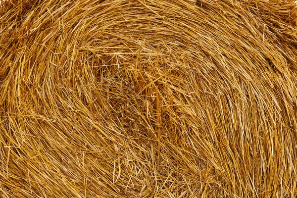 Background from wheat straw — Stock Photo, Image
