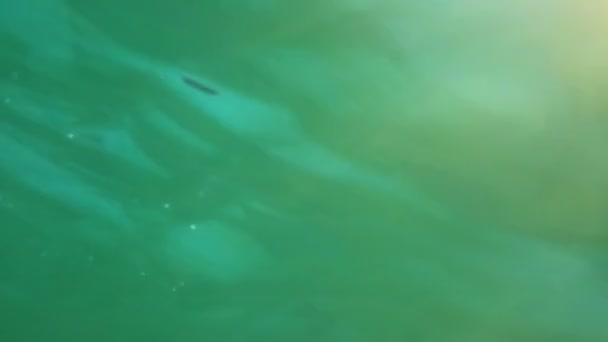 Rayos de sol bajo el agua en la piscina — Vídeos de Stock