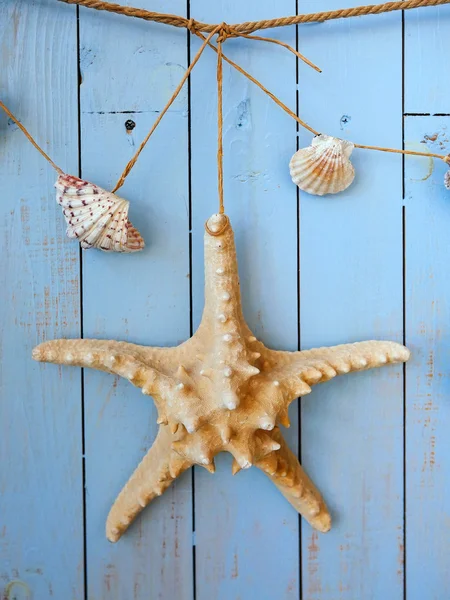 Seashells hanging on the rope, vintage styling — Stock Photo, Image