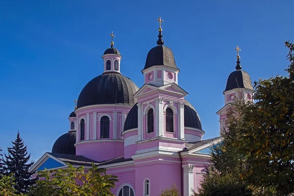 Pyhän Hengen katedraali Chernivtsi — kuvapankkivalokuva