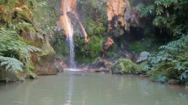 Piscina térmica Caldeira Velha, Ilha de São Miguel nos Açores, Portugal — Vídeo de Stock