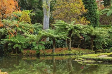 Avuç içi ve havuzlu Park 