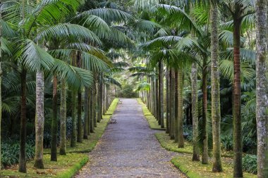 Avuç içi ve banklar Park 