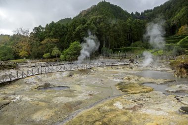 Termal havuz Caldeiras das Furnas, Sao Miguel Island Azores
