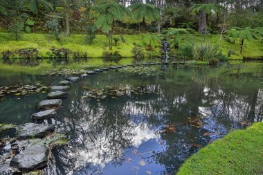 Avuç içi ve havuzlu Park 