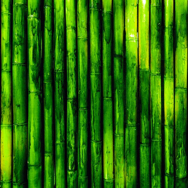 Bambu ahşap — Stok fotoğraf