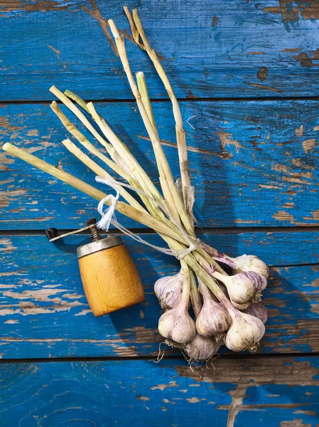 마늘과 매운 분쇄기 — 스톡 사진