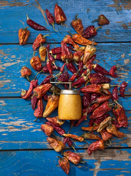 Suché paprikou a pikantní bruska — Stock fotografie