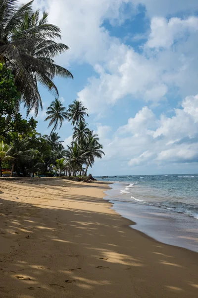 Пляж Індійського океану — стокове фото