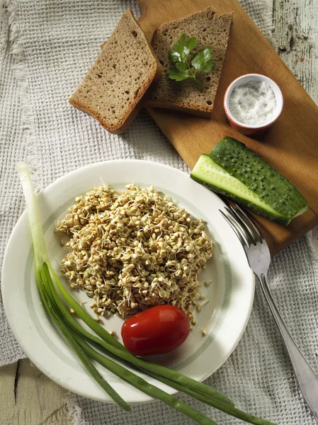 Boekweit sprout schotel — Stockfoto