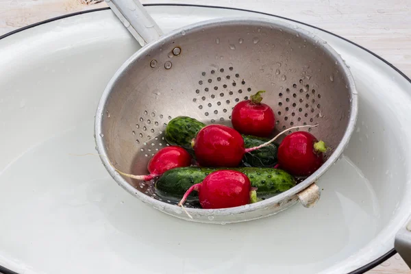 Rabanete e pepino — Fotografia de Stock