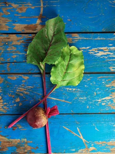 Beet — Stock Photo, Image