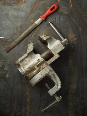 Başkan Yardımcısı kavrama