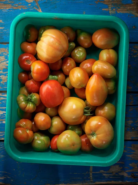 Red organic tomatoes — Stock Photo, Image