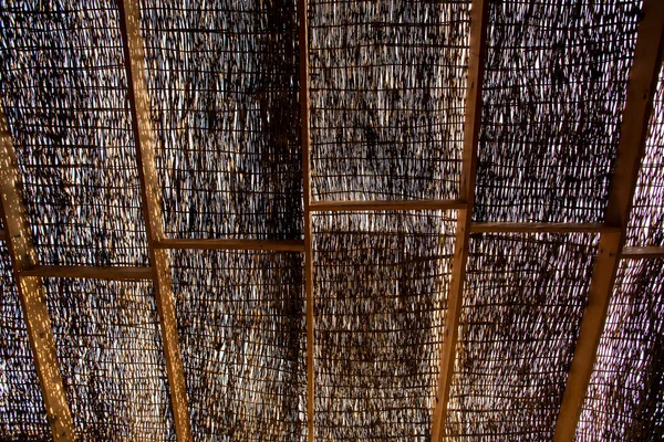 Chaume bambou sec Chaume bambou sec