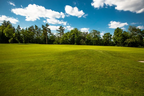 Parque fundo verde — Fotografia de Stock