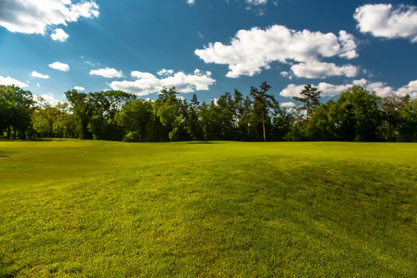 Parque fundo verde — Fotografia de Stock