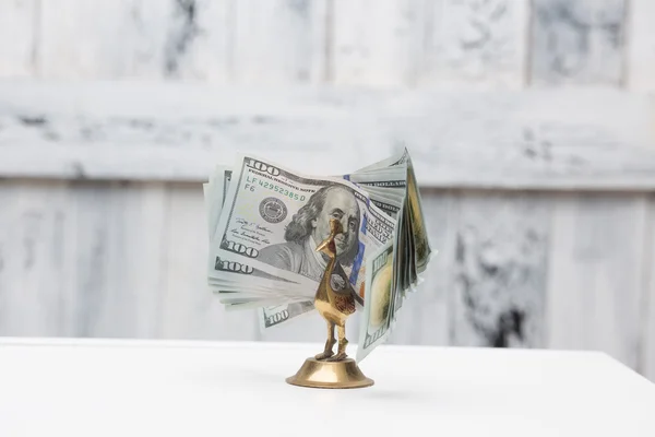 Money bird on table — Stock Photo, Image