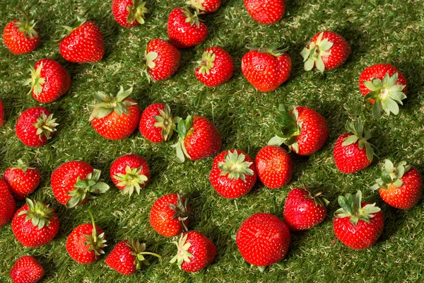 Close-up de morangos na grama verde — Fotografia de Stock