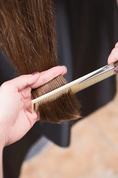 Peluquería corte de pelo —  Fotos de Stock