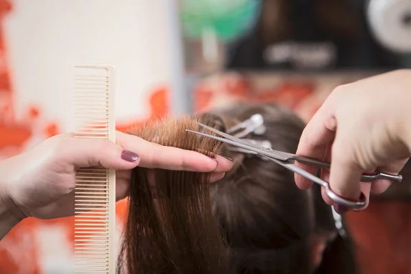 Cabeleireiro corte de cabelo — Fotografia de Stock