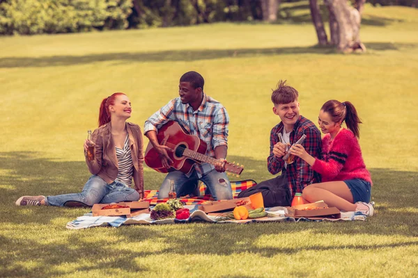 Bästa vänner på picknick — Stockfoto