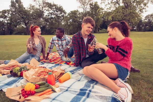 Beste vrienden op picknick — Stockfoto