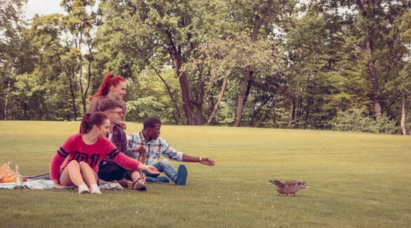 Najlepsi przyjaciele na piknik — Zdjęcie stockowe