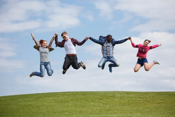 Migliori amici su picnic — Foto Stock