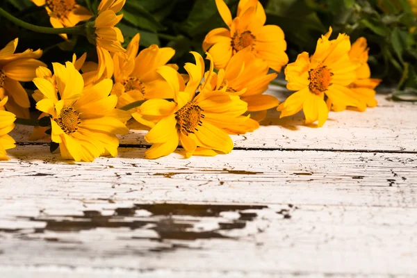 Fundo de madeira branco com flores amarelas — Fotografia de Stock