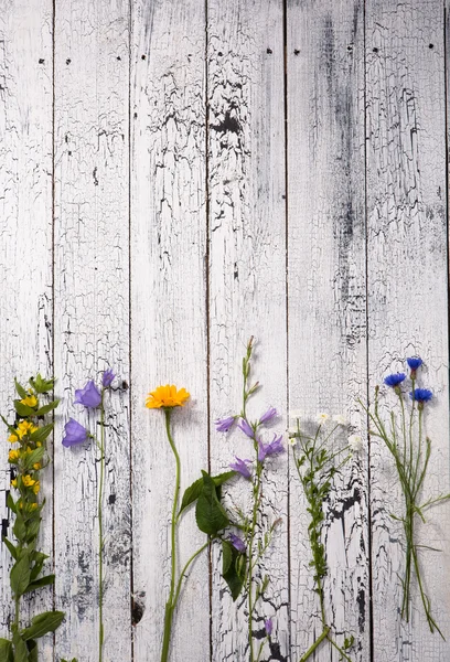 Fundo de madeira branco com flores — Fotografia de Stock