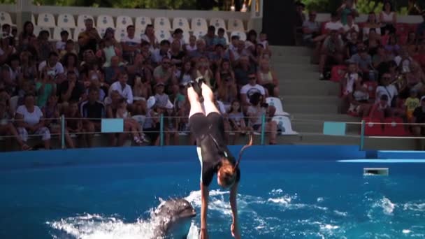 Os trabalhadores do Dolphinarium mostram golfinhos na piscina. 12 de agosto de 2018, Odessa, Zatoka. — Vídeo de Stock