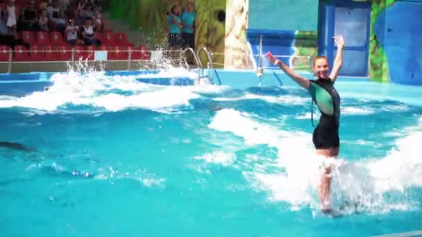 Workers show shows dolphins in pool. August 12, 2018, Odessa, Zatoka. — Stock Video