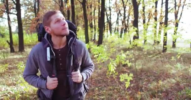 Młody turysta spaceruje z plecakiem w jesiennym lesie w słoneczny dzień. Biały facet uśmiecha się i rozgląda dookoła. — Wideo stockowe
