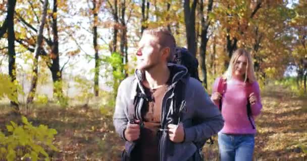 Na tarde ensolarada, o casal caminha pela floresta de outono. Jovem com mochila nas costas olhando para os lados vira para trás. Menina de vontade leve com mochila tem andar. Turistas. — Vídeo de Stock